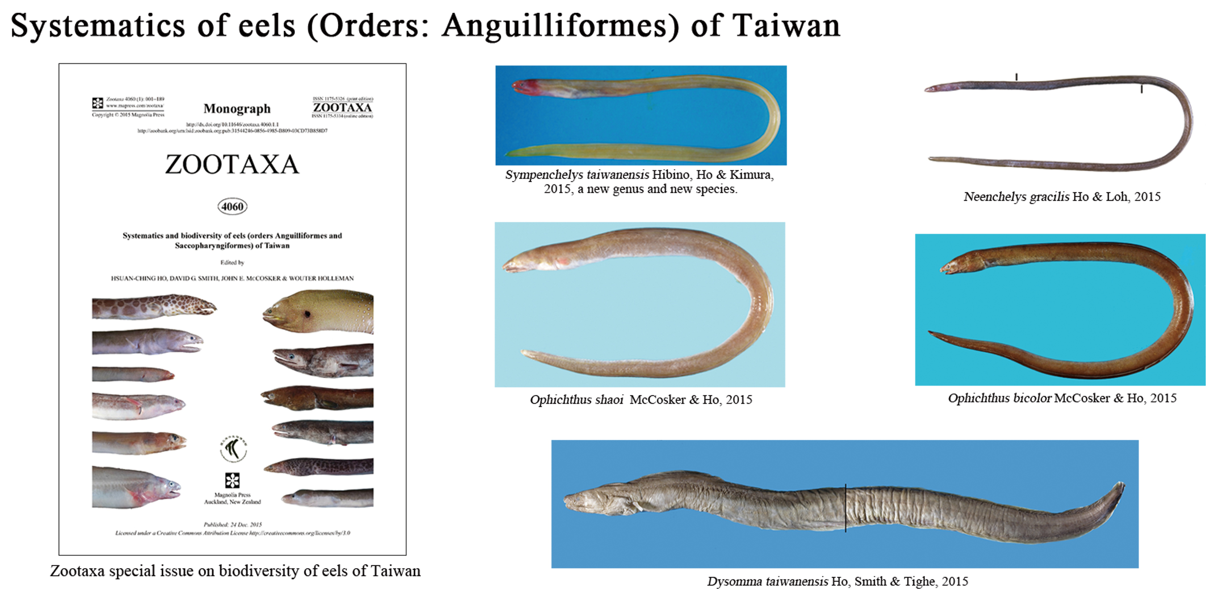 海洋生物多樣性
